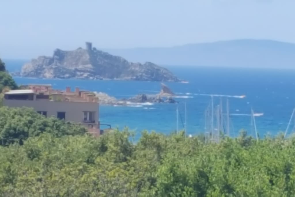 Porto di Punta ala