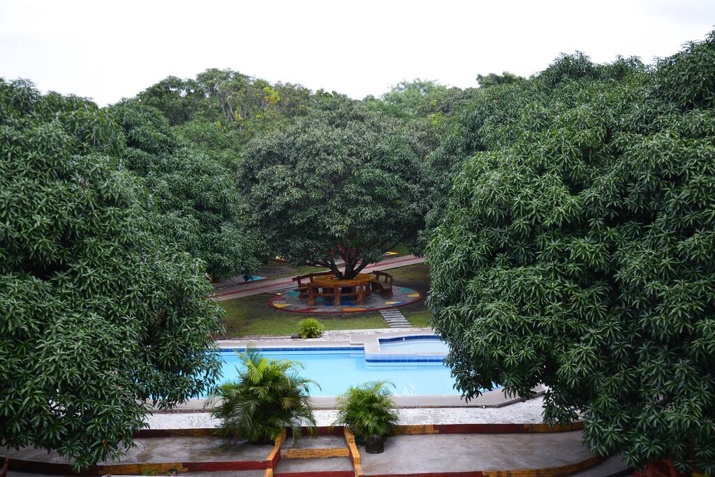 the small swimming pool