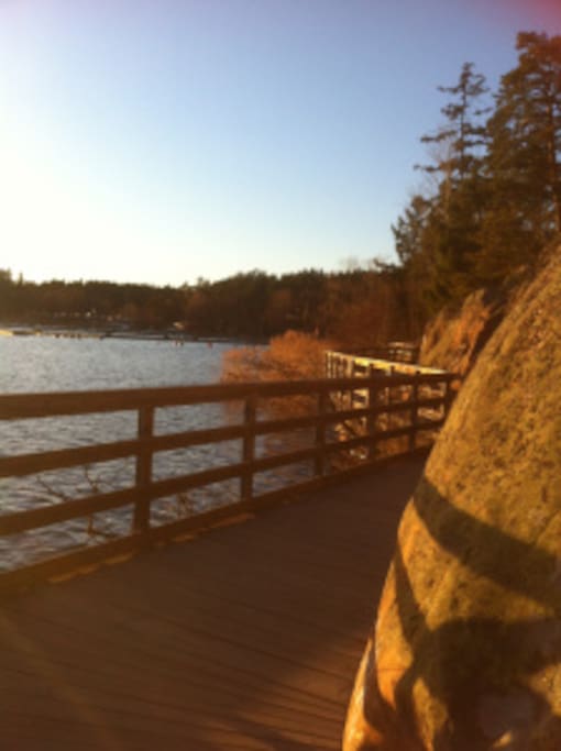 Close to forest and lake