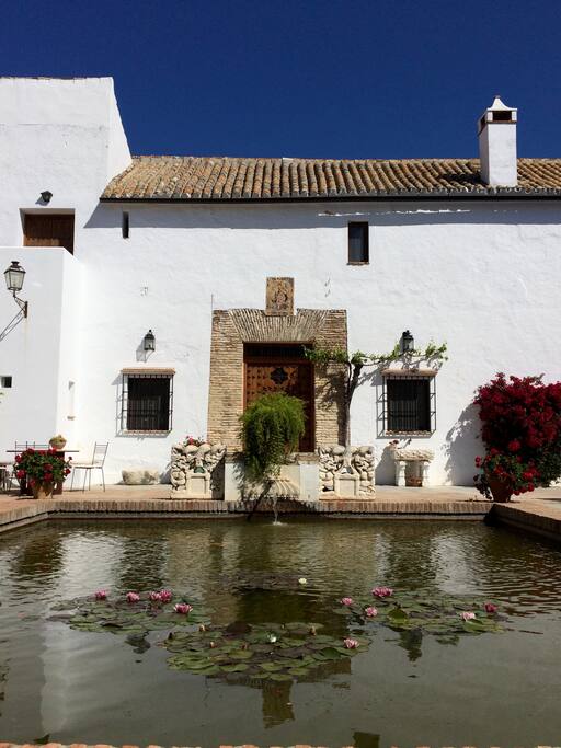 Estanque del patio grande