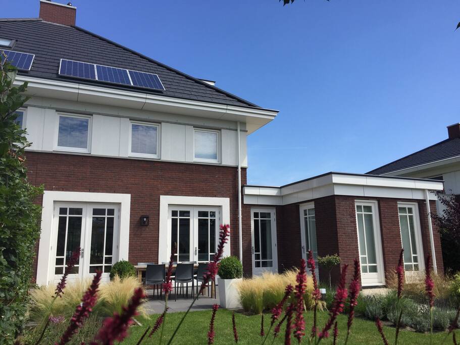 Achtertuin - Backyard
