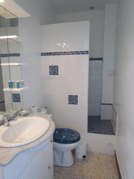 salle de bain avec douche