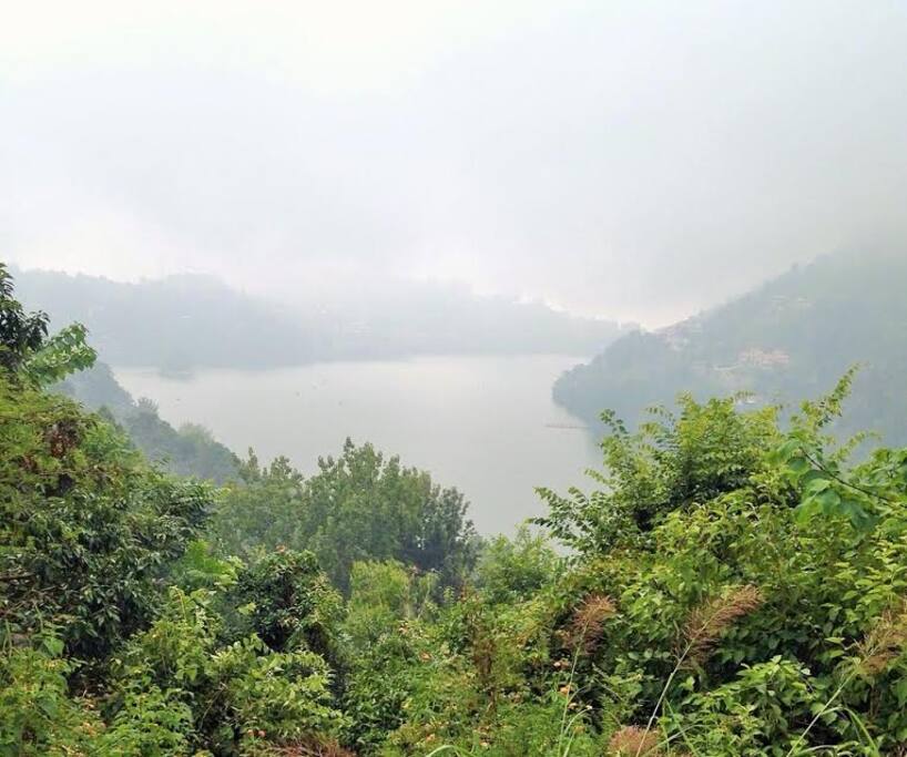 Rainy Season View