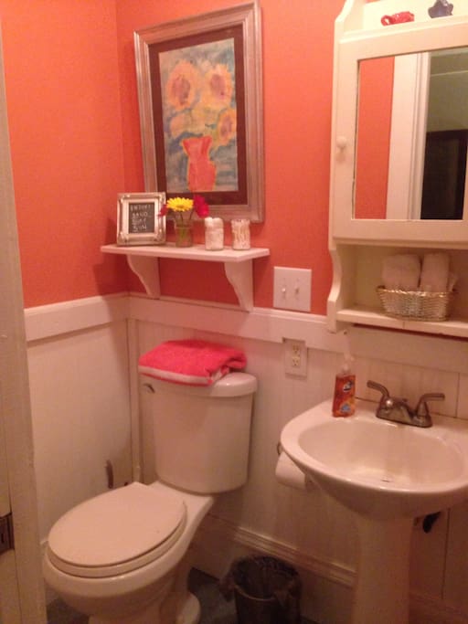 Small on suite bathroom has everything you need.