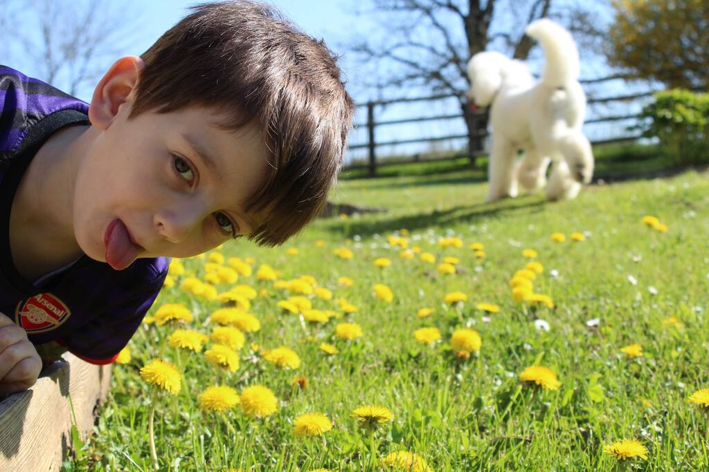 Welhaved Children and Dogs Welcome
