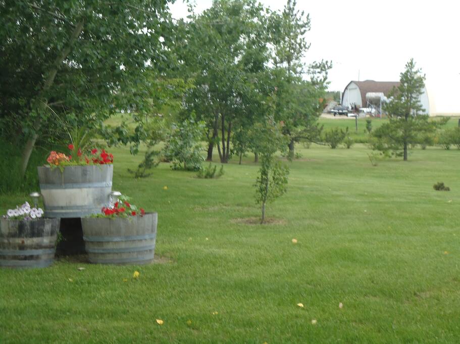 View of backyard looking towards hole 9