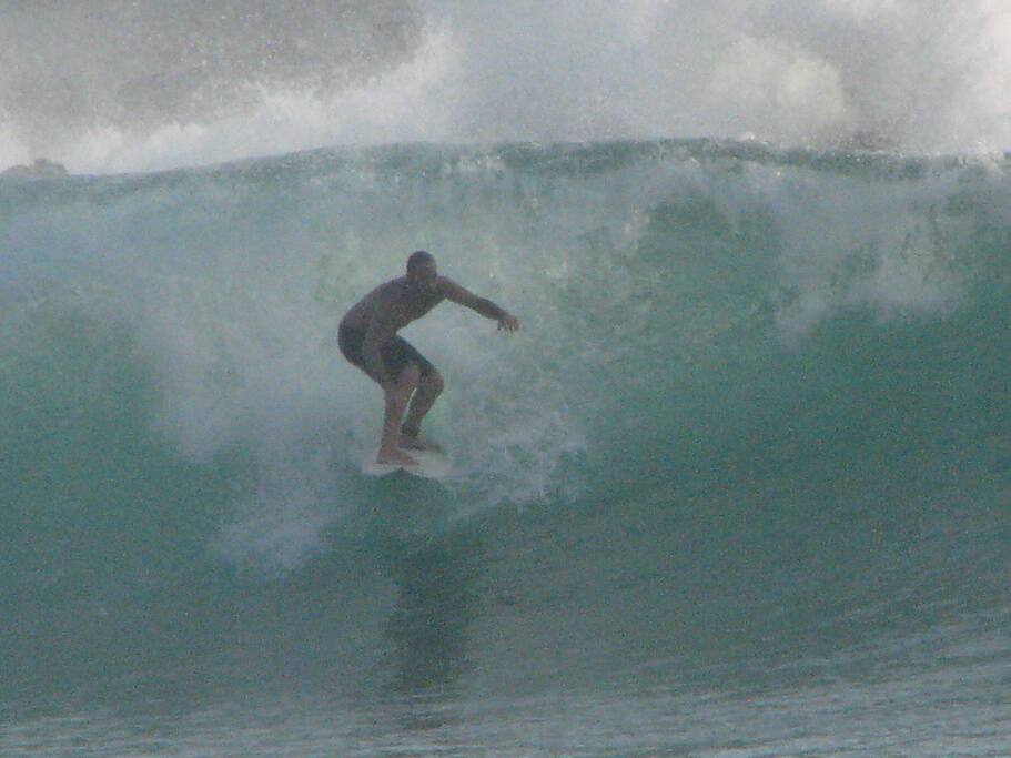 Surf