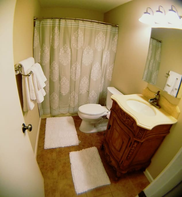 Bath with full shower and tub, vintage style sink. Soap, shampoo and basic toiletries available for your convenience.