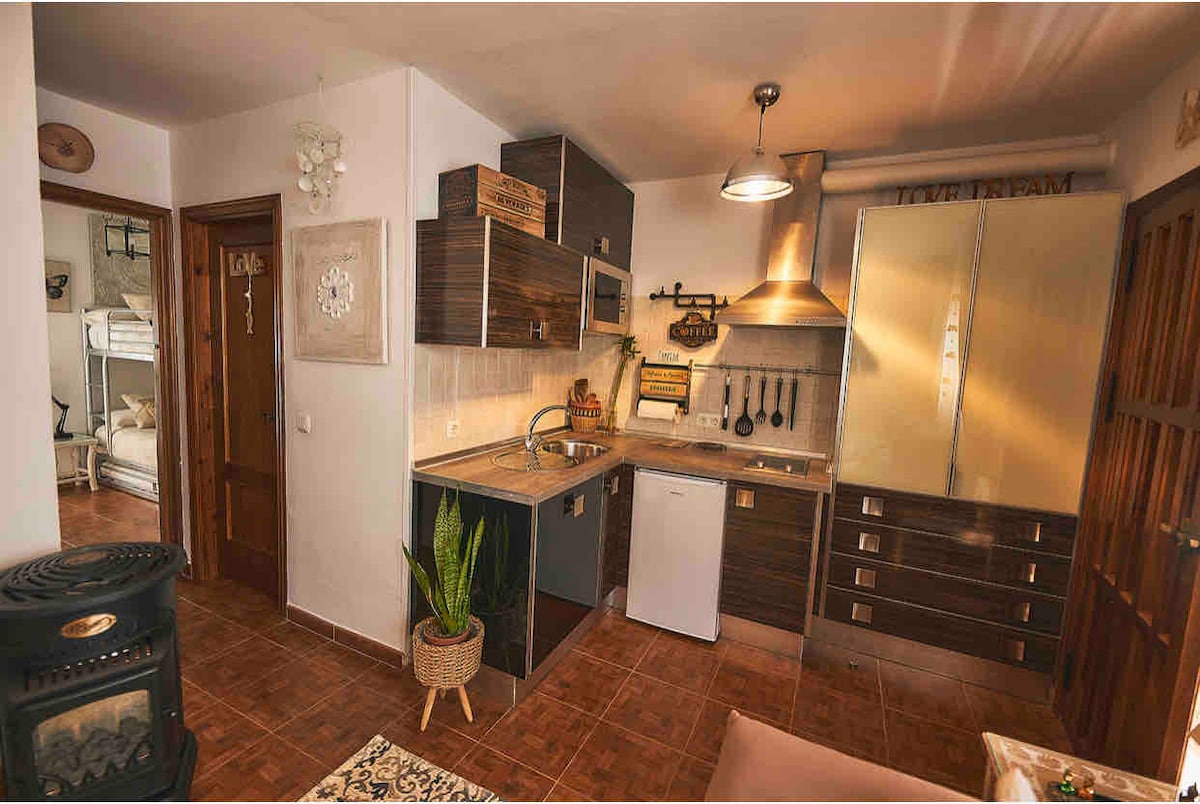 A modern kitchen is presented, featuring dark wooden cabinets and stainless steel appliances. A small refrigerator and a sink are visible alongside kitchen utensils adorning the walls. A potted plant adds a touch of greenery. Warm light illuminates the space.