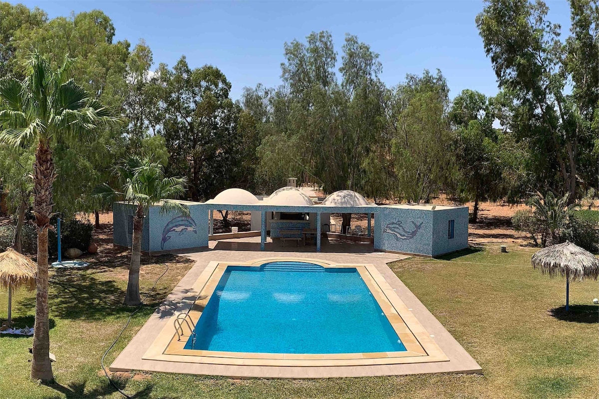 A spacious outdoor area features a large swimming pool surrounded by a tiled patio. Palm trees and greenery frame the scene. A shaded resting area with thatched roofs offers shelter, while mosaic art depicting dolphins adorns the walls of the nearby structure.