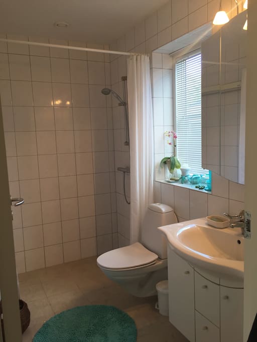 Good size bathroom