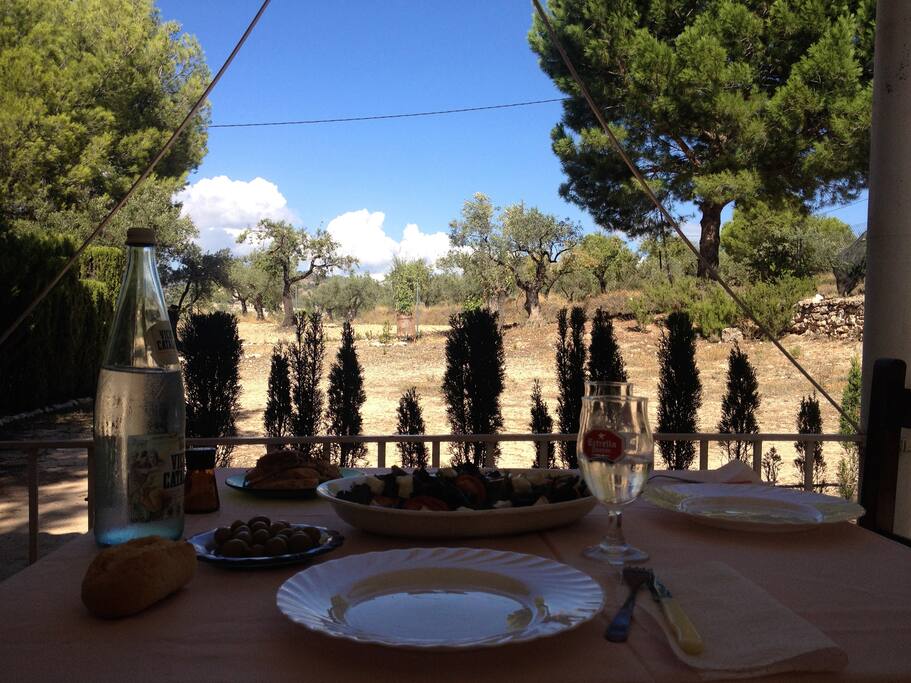 View from the terrace