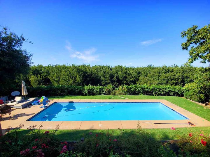 Sip,Swim, Soak,Sleep,Escape Lodi wineriesminsaway Houses for Rent in