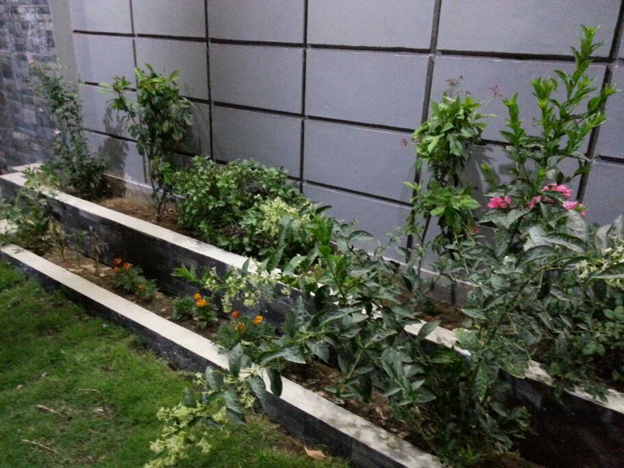 outside lawn at front