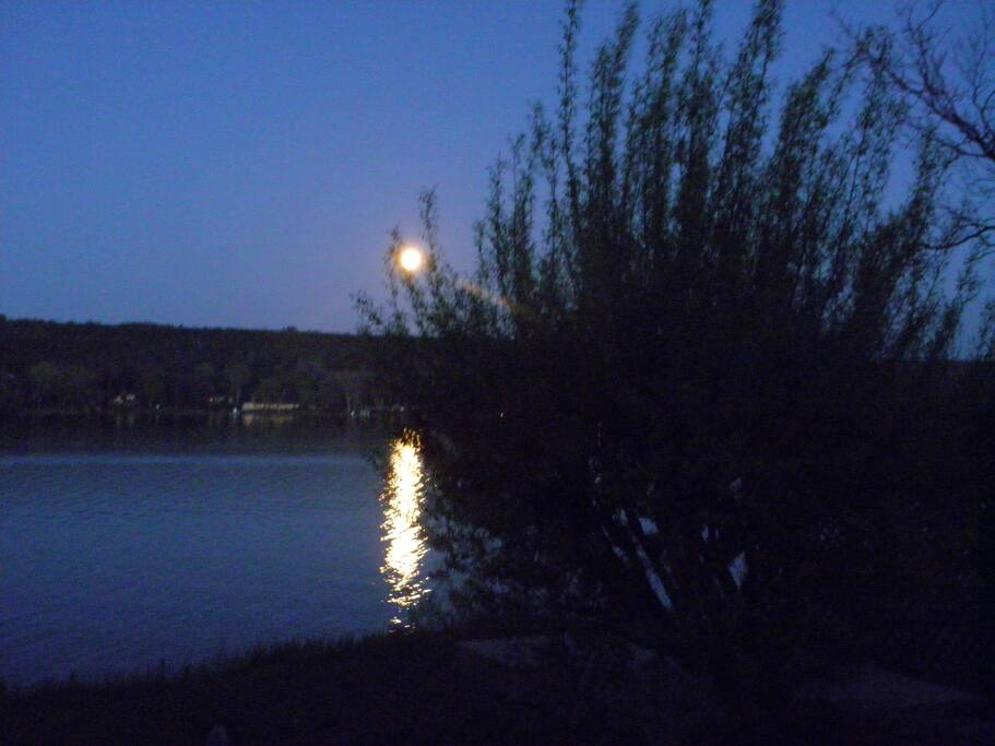 Night View
