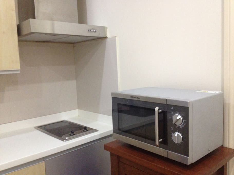Microwave and double burner with range hood