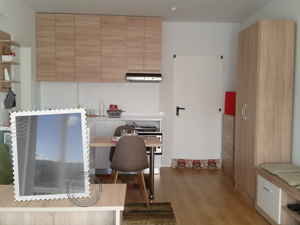 A modern kitchen area features light wood cabinetry and essential appliances, including a stove and refrigerator. A compact dining table is positioned next to a comfortable chair. Natural light floods the space through the window, illuminating the minimalist design and open layout.