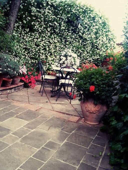 the Garden