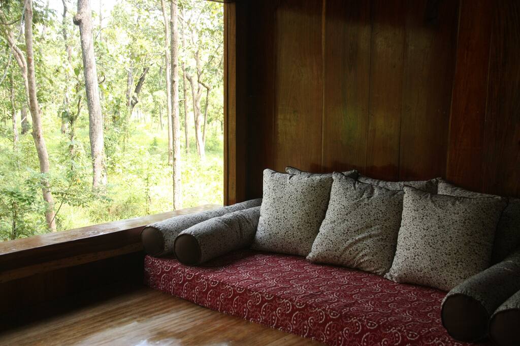 Large windows overlooking forest