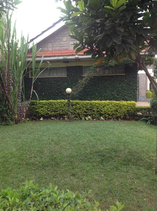 Spacious grounds to meditate, bask and relax