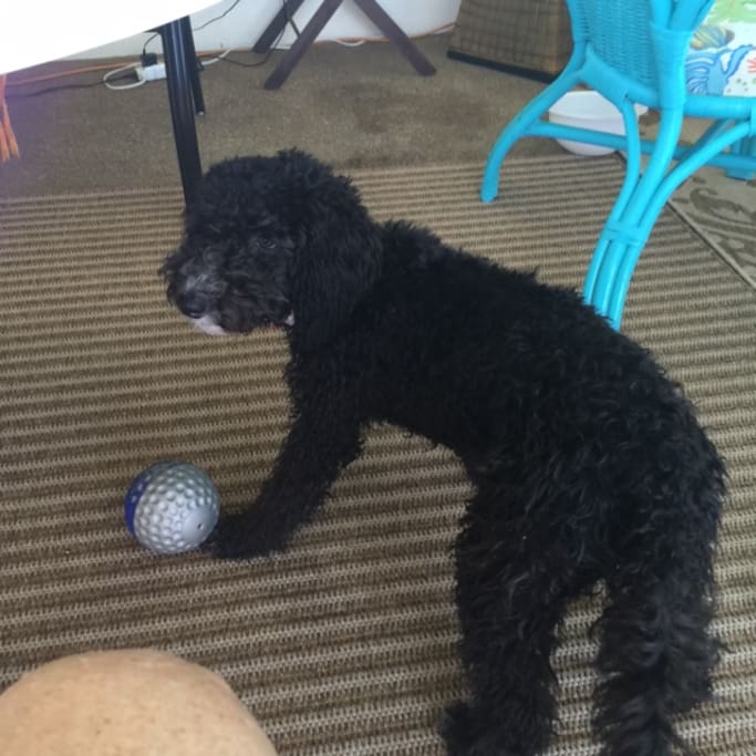 NELLIE 7 MONTHS