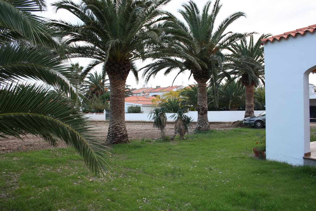 Jardin
