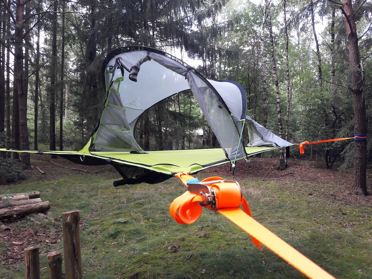 A suspended tree tent is visible, featuring a durable mesh canopy that reflects a vibrant green. The tent is securely anchored to surrounding trees. The forest floor is covered in soft moss and scattered foliage, creating a natural, serene environment.