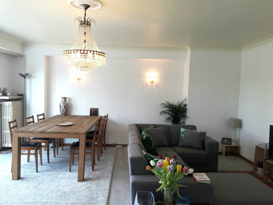 Dining area and living room with lots of natural light