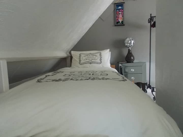Unique Attic room, Central Newport