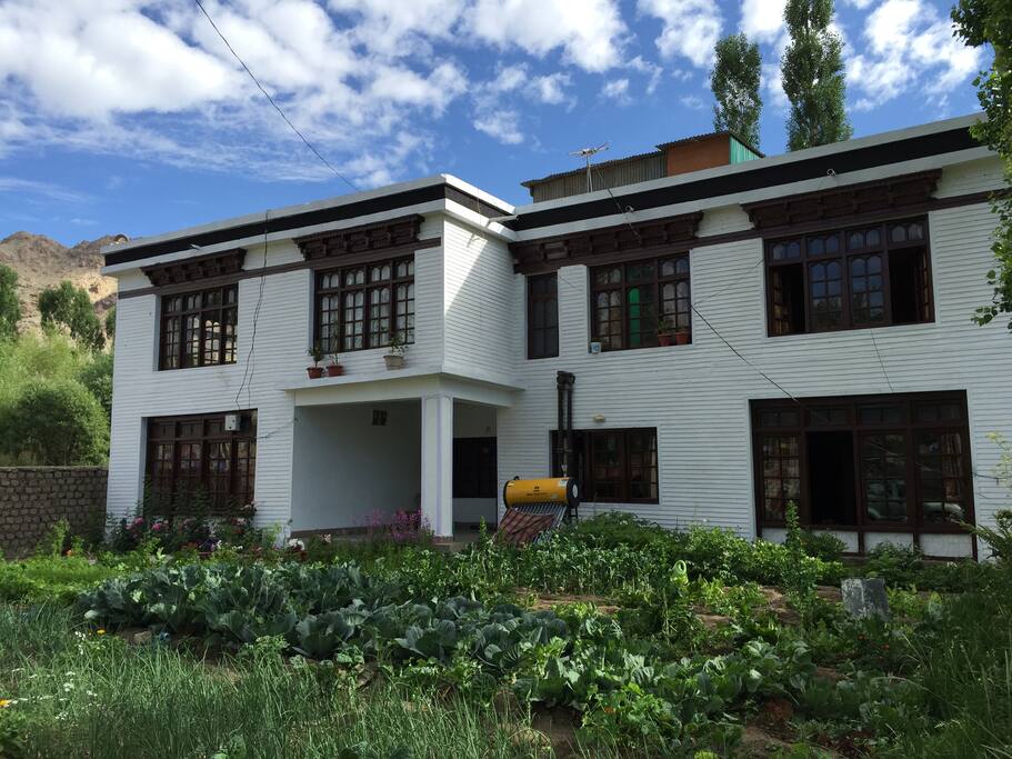 Organic vegetable garden at the front.