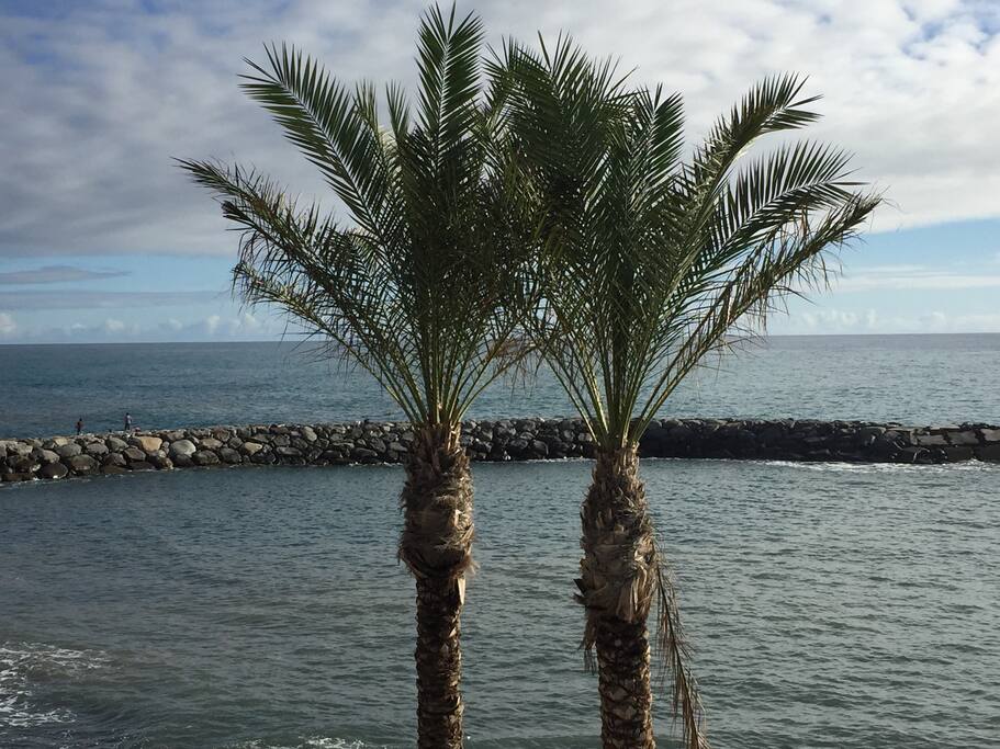 ocean view