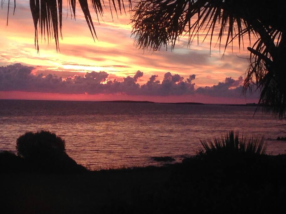 Morning view from house