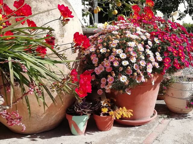 Agroturisme Mas Can Font gallery image 4