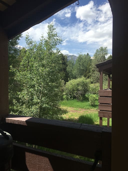 View from the deck