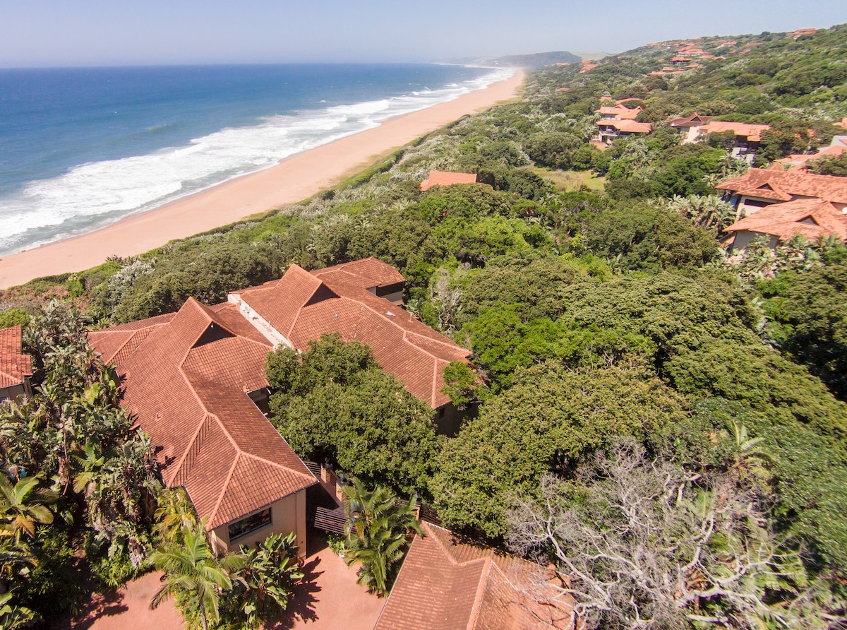 An aerial view showcases the apartment's terracotta roof blending with lush greenery. The coastline stretches along the horizon, featuring soft sandy beaches and gentle ocean waves under a clear blue sky.