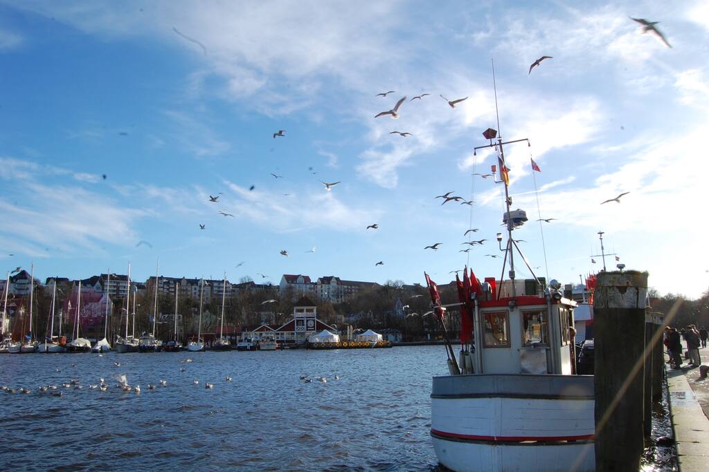The old harbour