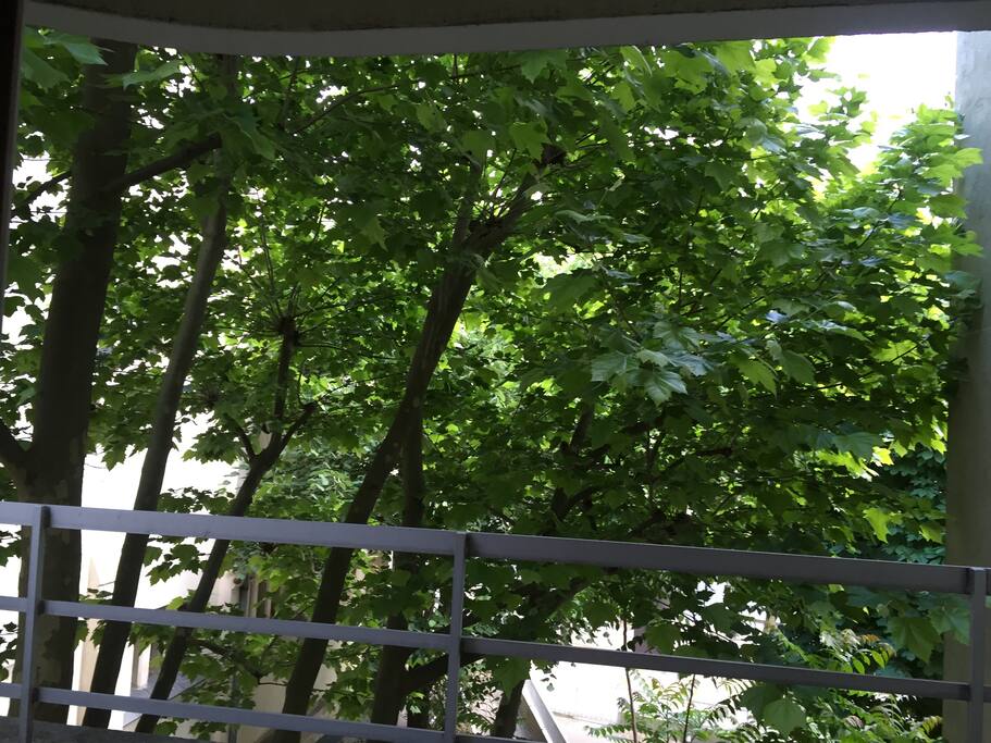 Summer view from balcony