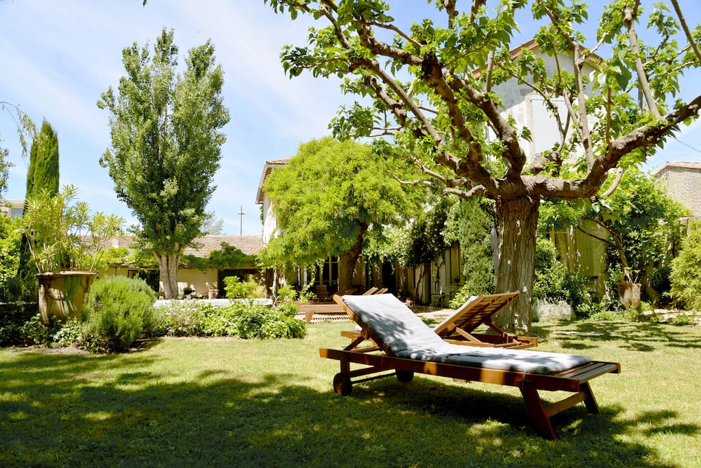 Relaxing garden