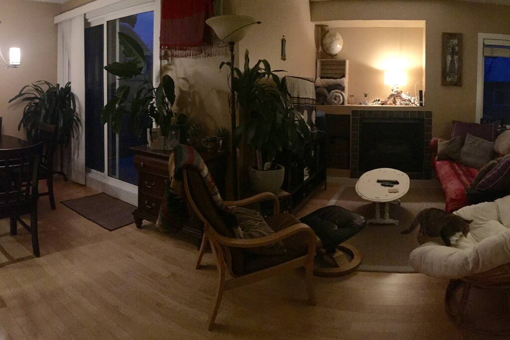 Red/Futon is thick/cozy and can easily sleep 2 :) This is the sleeping space available. See kitty room mates ;). Kitchen is to the left in this pic. Main floor with deck door.