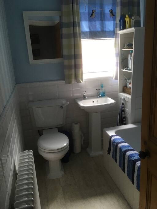 Shared bathroom with the host