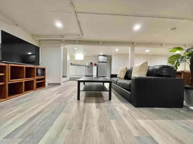 4742 Superb 1400 Sqft Basement 2B2B Downtown SJ