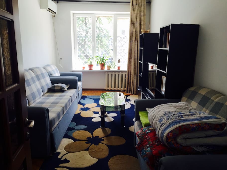 Living room with pull out couch and flat screen TV.
