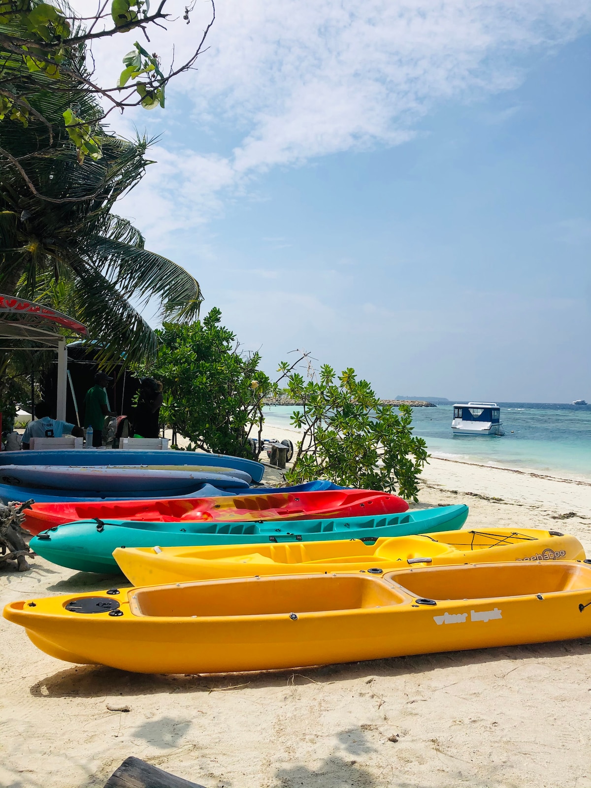 A selection of colorful kayaks in bright hues of yellow, green, and blue are arranged on the sandy beach. Palm trees provide shade in the background, while the turquoise waters gently lap at the shore, creating a serene coastal scene.