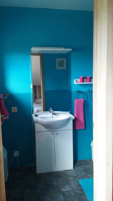 Salle de bain avec évier, douche et WC