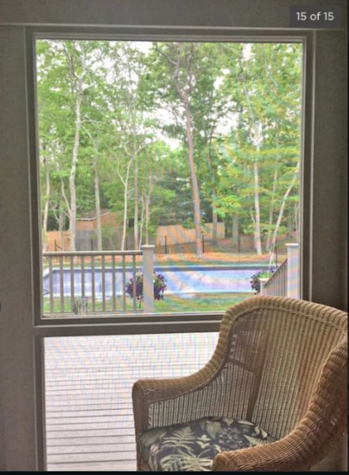 View of pool from screened in porch