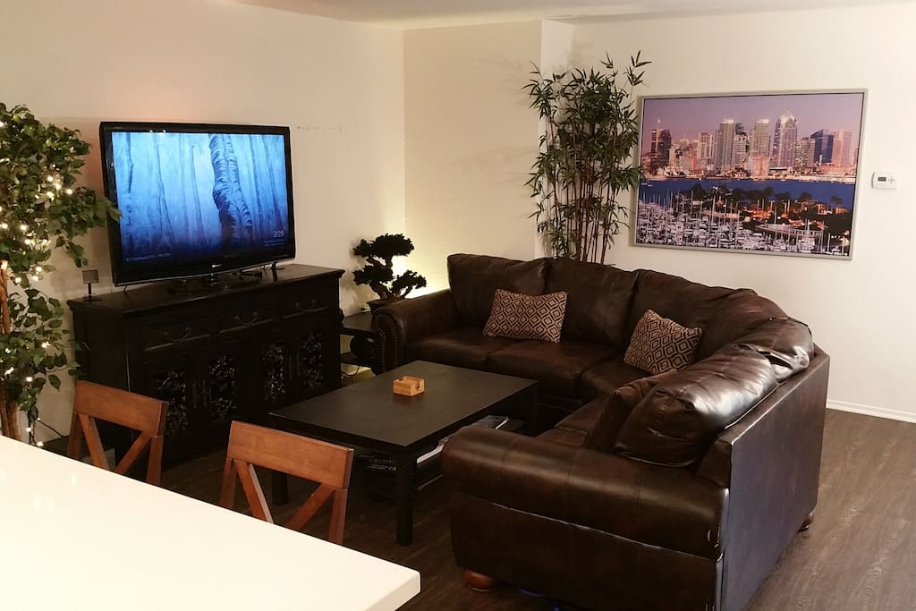 52" hdtv, coffee table, hd cable, high speed wifi