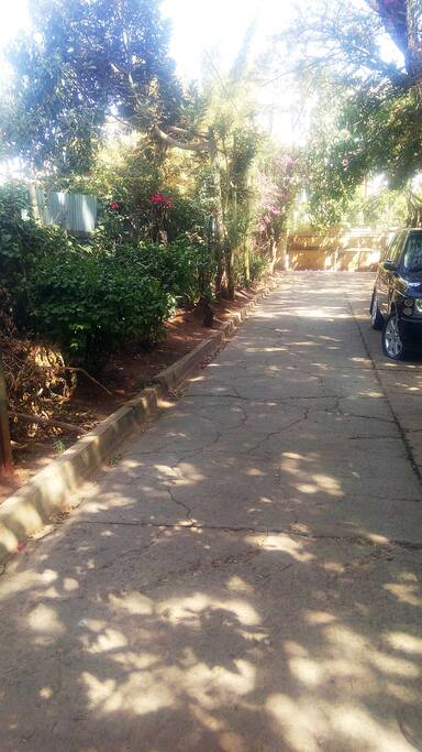 Free Parking area accessible to guests
