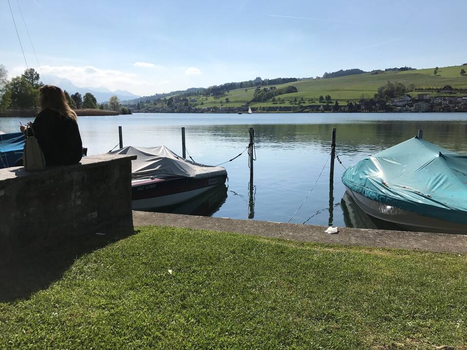 Sicht am See