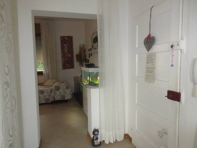 Nice and quiet apartment near the Venice Festival gallery image 2
