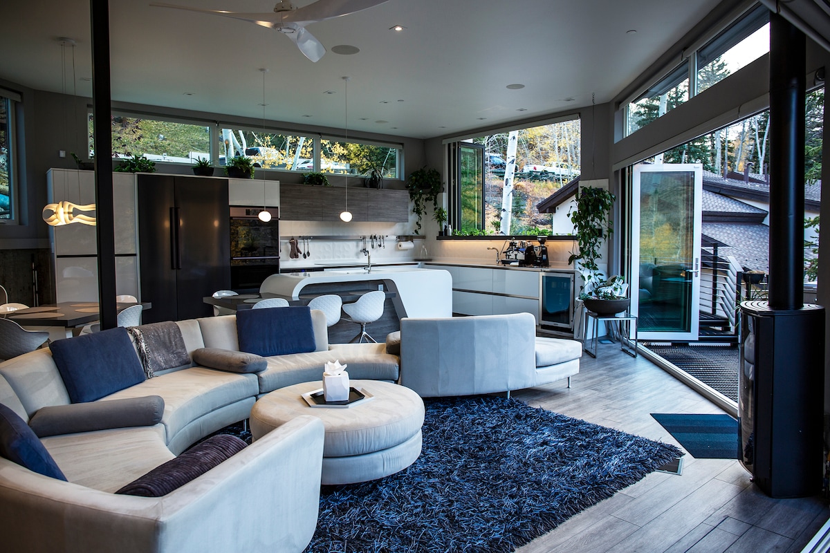 Successful Airbnb property: Incredible New Luxury Vail Home: BluSky Haus in Vail